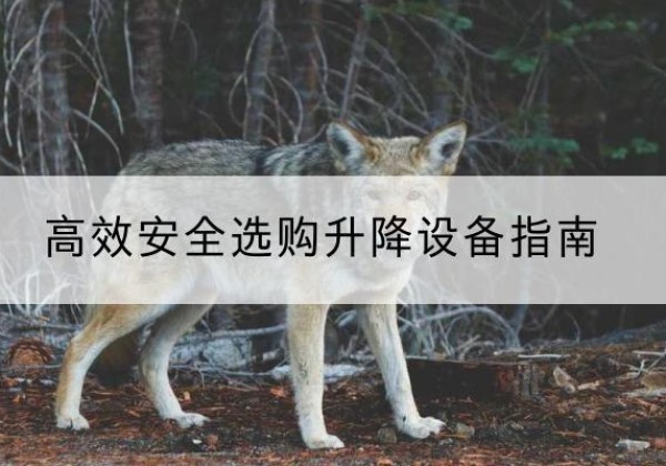 环翠升降货梯厂家推荐-*安全选购升降设备指南