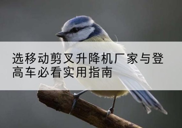 环翠电动升降机厂家-选移动剪叉升降机厂家与登高车必看实用指南