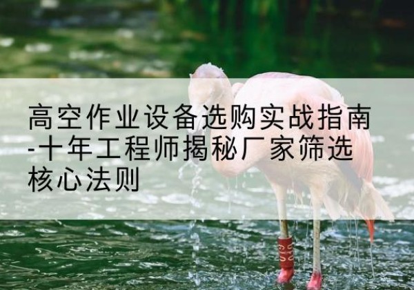 环翠剪叉式升降机厂家-高空作业设备选购实战指南-十年工程师揭秘厂家筛选核心法则